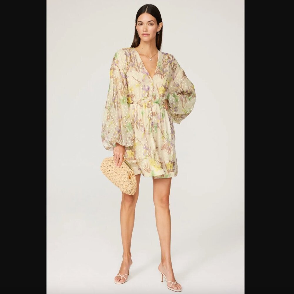 Alexis "Behati" Dress, Multicolor Floral Chiffon Long Sleeve Dress, Size Small